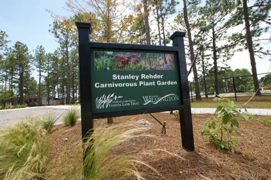 Сад плотоядных растений Стэнли Редера