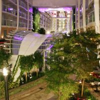 Allure of the Seas (34/39)