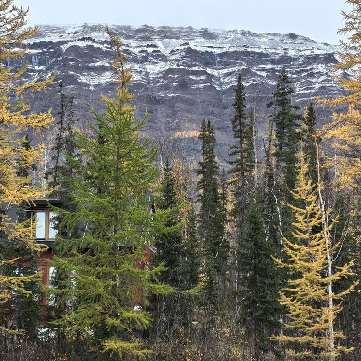 Кемпинги, Гостевые домики