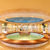 Vision of the Seas (22/23)