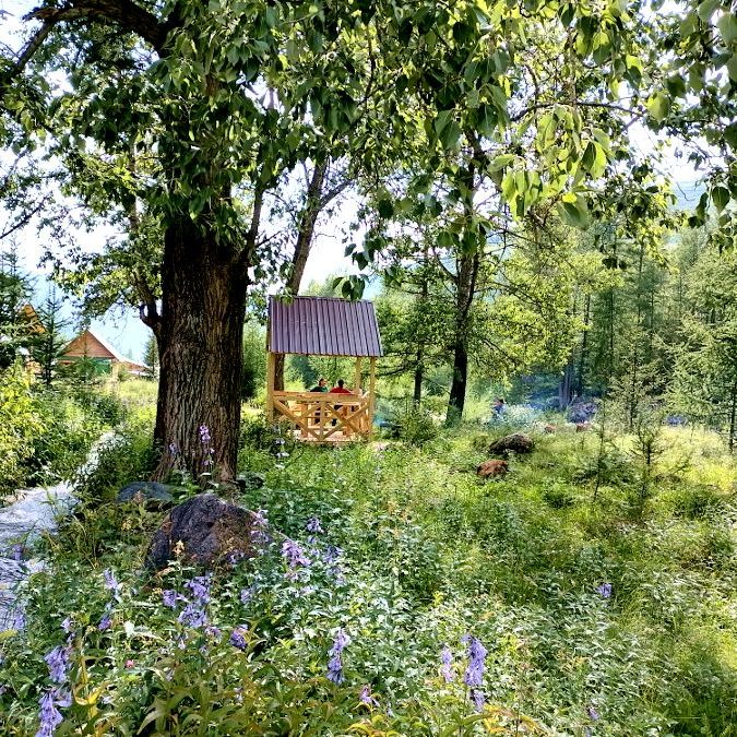 Отели 1-2*, Кемпинги, Гостевые домики