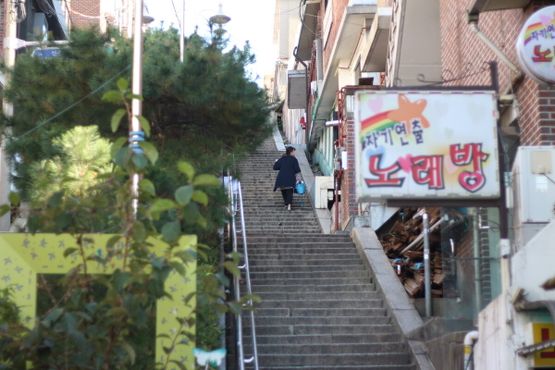 Лестница спрятана между жилыми домами и массой деревьев