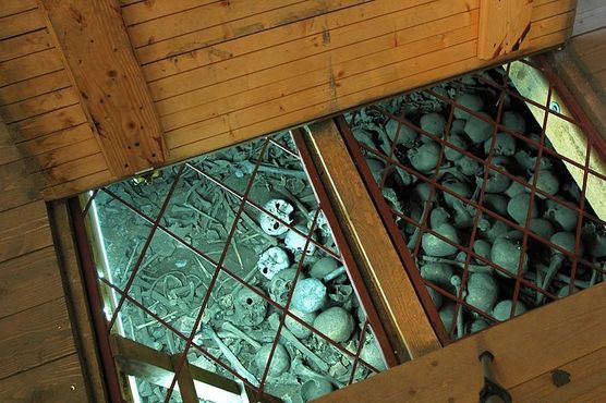 Черепа в крипте