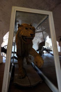 Лев
из замка Грипсхольм