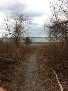 Заповедник Уэлвин