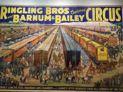 Общая длина поездов для перевозки цирка составляла более 1,5 км 