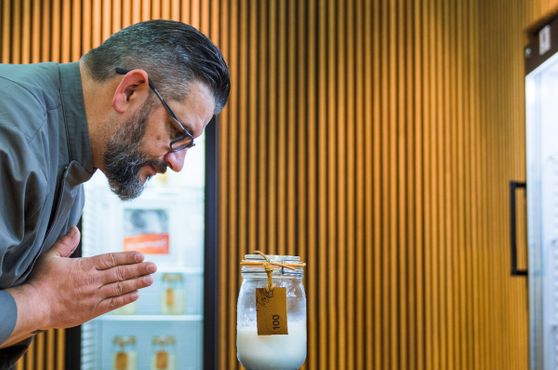 Библиотека заквасок