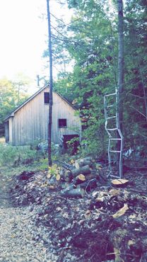 Возле Лесной церкви