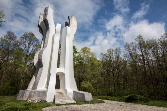Монумент партизанскому отряду в Брезовицком лесу