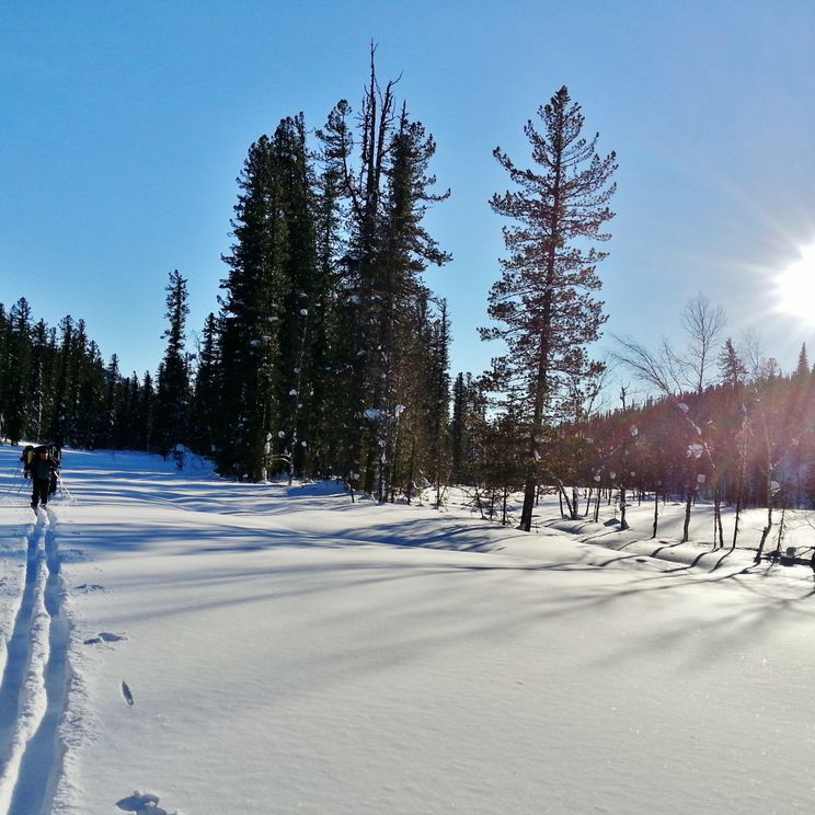 Хижины, Палатки