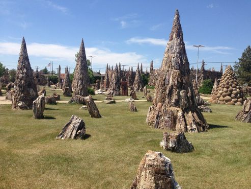 Парк окаменелых деревьев