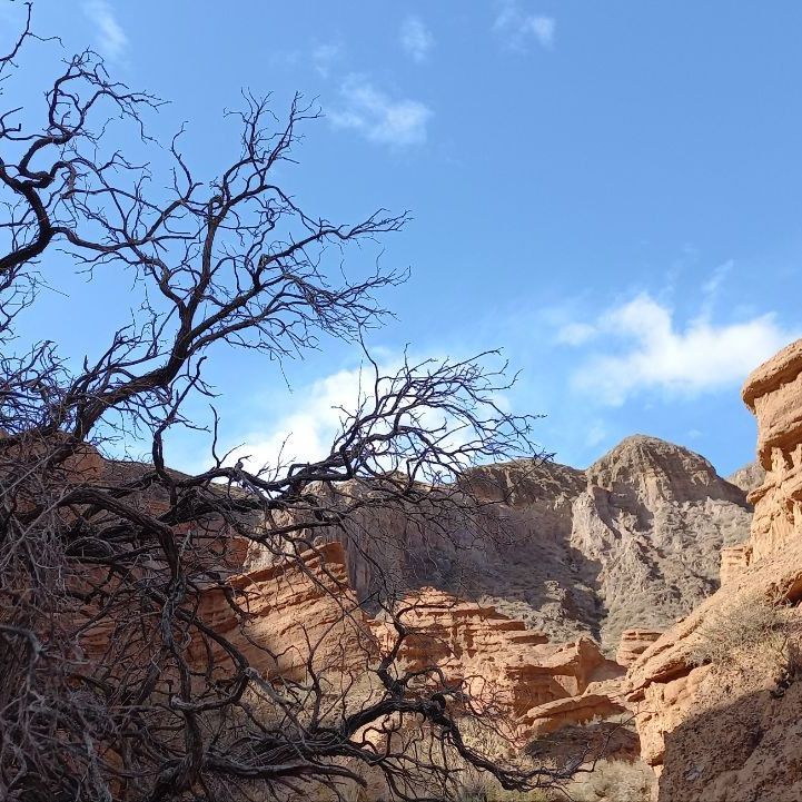 Глэмпинги, Отели 3*, Отели 4*, Юрты