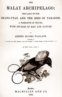 Обложка первого издания «Малайского архипелага»
