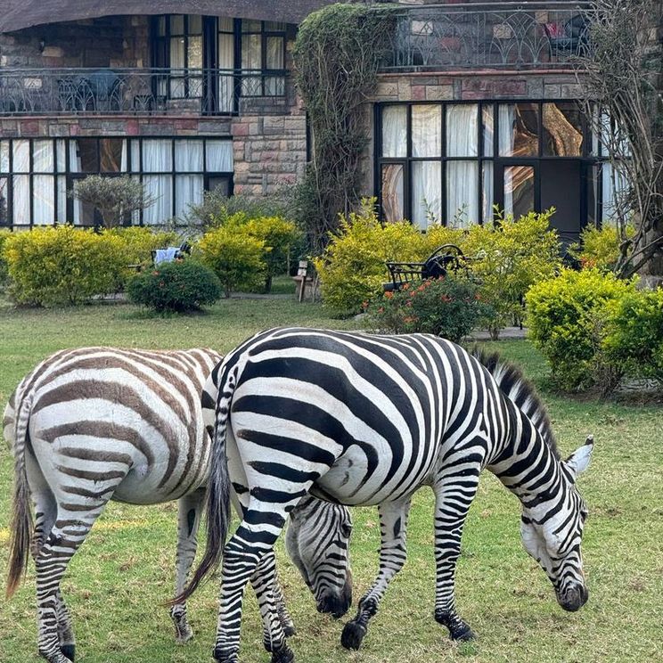 Отели 4*, Отели 5*, Лоджи