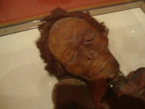 На голове мумии сохранилась впечатляющая шевелюра
