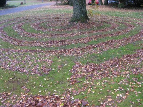 Лабиринт из опавших листьев в кампусе