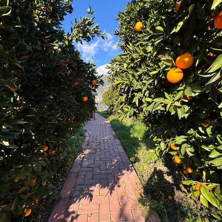 Отели 3*, Отели 4*, Бутик-отели