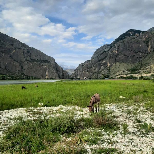 Гостевые домики, Отели 3*, Апартаменты, Коттеджи