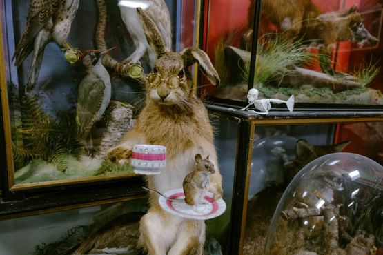 Кабинет редкостей Крэнфилда