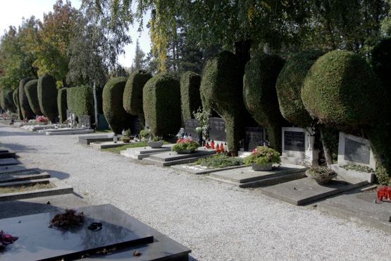 Вараждинское кладбище