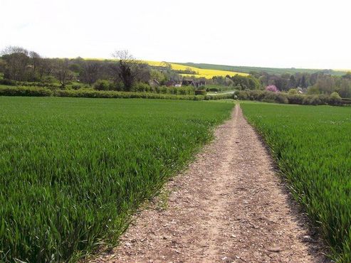 Тропа Гринвичского меридиана, проходящая через Линкольнширские пустоши