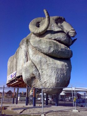 Большой меринос в Гоулберне, Австралия