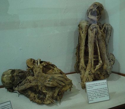 Предполагаемые мумии доиспанской эпохи