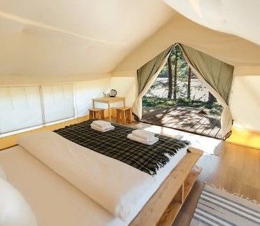 Кемпинги, Гостевые домики, Отели 3*