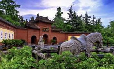 Гостиницы 5*