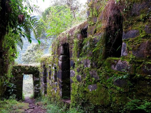 Древний храм, спрятанный в джунглях на обратной стороне Уайна-Пикчу
