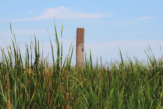 Руины форта Сент-Филип