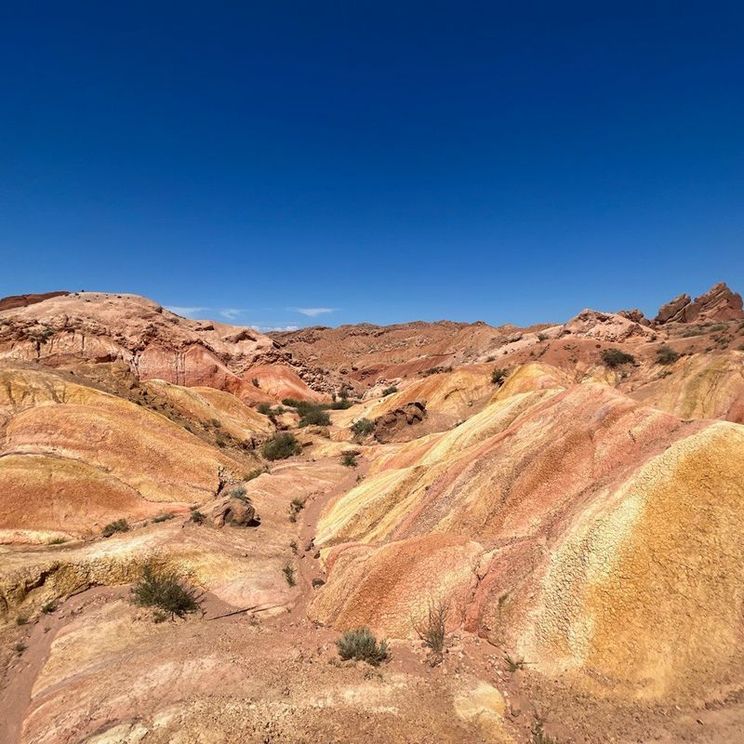 Глэмпинги, Отели 3*, Отели 4*, Юрты