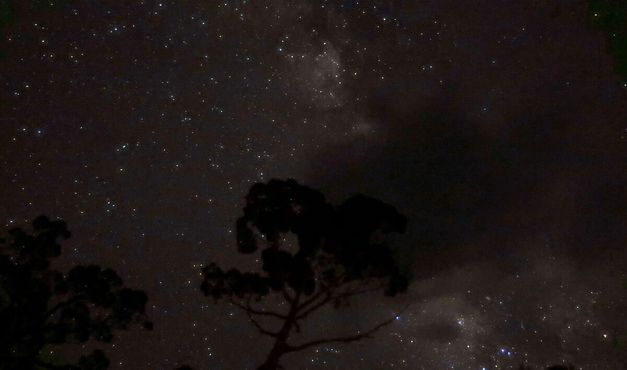 Звездное небо над лесом Вехеа