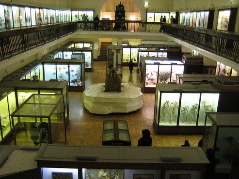 Музей и сады Хорнимана