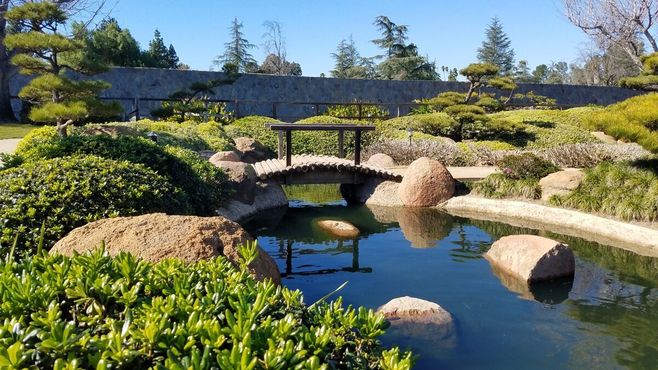 Сад в традиционном японском дизайне орошается сточной водой
