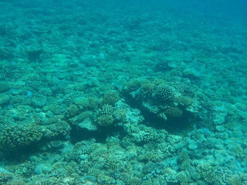 Коралловый риф на Тетиароа