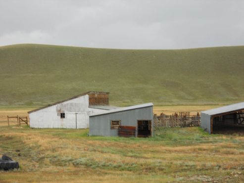 Кошары для скота