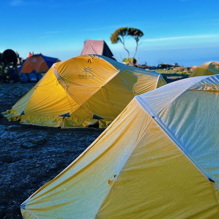 Кемпинги, Гостевые домики, Отели 4*