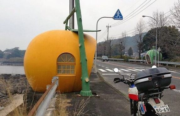 Автобусная остановка в виде апельсина