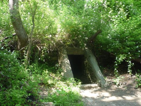 Пещера Кельпиуса