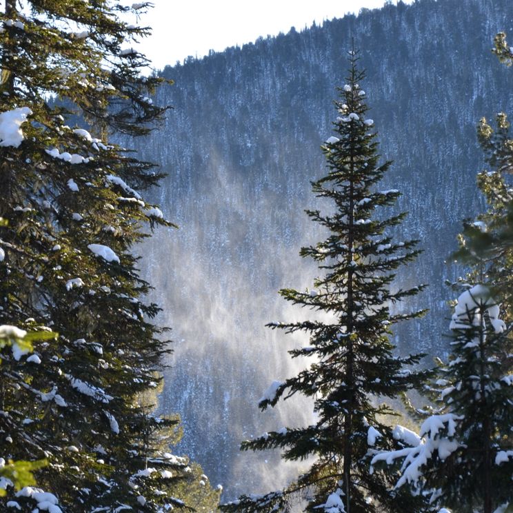 Хижины, Палатки