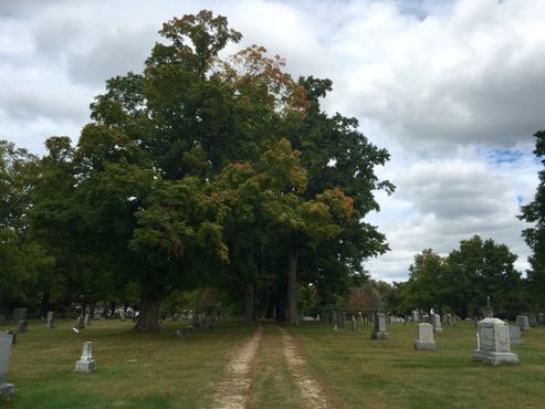 Кладбище Монт-Вернон