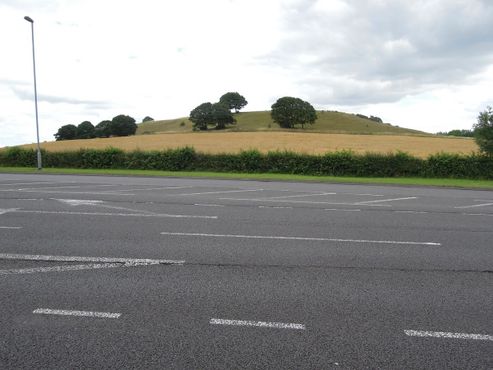 Холм Гамильтон