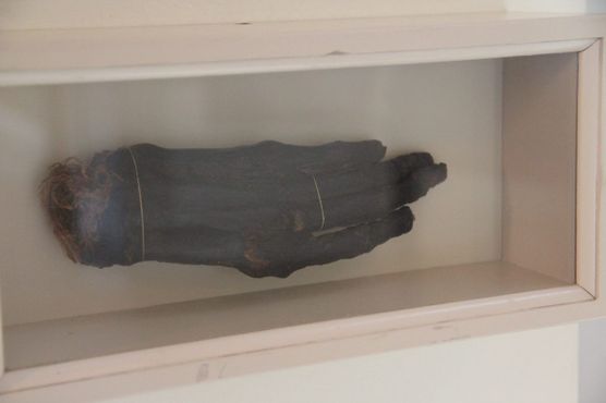 Рука мумии