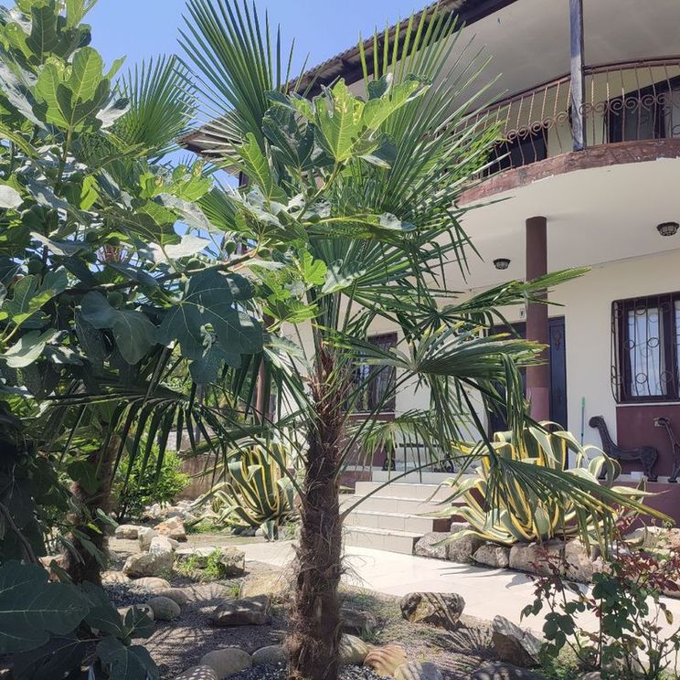 Гостевые домики