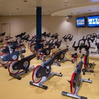 Harmony of The Seas (21/44)