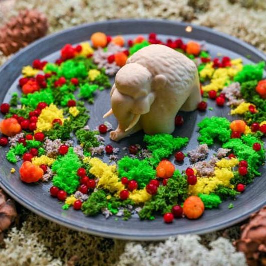 Кемпинги, Гостиницы 4*