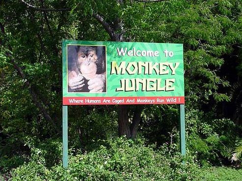Знак на въезде в Monkey Jungle