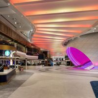 Icon Of The Seas (30/36)