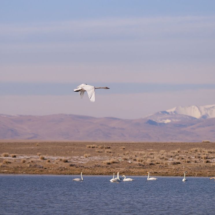 Кемпинги, Отели 3*, Юрты, Палатки